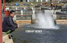 송어 발암물질 검출로 허탈한 양식장