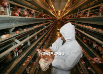 예찰활동 나선 양계농가