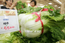 배추값이 金값