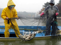 양어장이 아닙니다