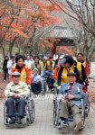 전주 지체장애인 단풍놀이