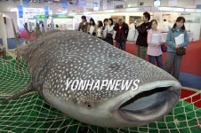 국제수산무역엑스포.재래시장박람회 개막