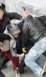 전공노 강원본부 농성장 노조원 연행