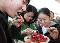 말고기 맛있어요