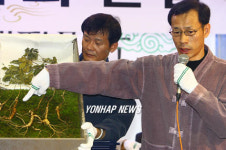 경매나온 1백10년 된 산삼 공개