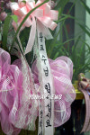 황우석 연구실 앞에 놓인 격려 화분