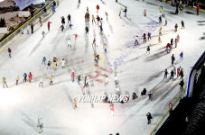 서울광장 스케이트장 개장