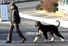 황교수 떠난 뒤 외로운 스너피