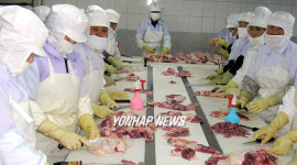 우리에겐 조류 인플루엔자, 걱정없어요