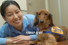 `동물매개 치료사 1호 이주연씨