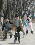 신나는 인라인