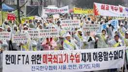 수입쇠고기 수입 절대 반대한다!