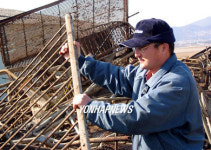 무너진 축사 정리하는 정경천씨