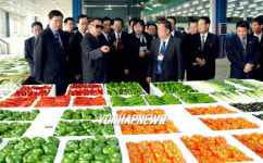 北김정일, 中동승농장유한공사 시찰