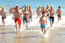 울산 돌고래수영대회 `파이팅