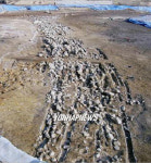 김해 관동리 유적서 도로 확인