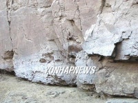 반구대암각화 백화현상 진상조사 요청