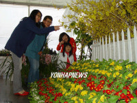 진주산업대 봄꽃의 향연