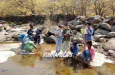 물 맑고 공기 좋은 우리마을 최고