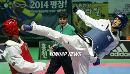 전국대학태권도대회