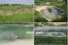 월드컵공원 내 생물서식공간