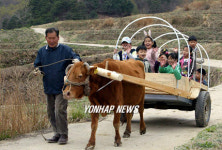 소달구지 타고 동네 한바퀴