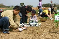 농협전남본부 주말농장 인기 폭발