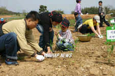 한 도시민 가족의 즐거운 주말농장 체험