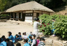 강진 영랑생가 모란꽃 활짝