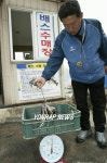 파로호 배스 수매 시작