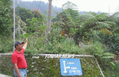 머라피 화산인근 지역 주민