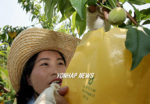 농촌 봉사활동 나선 노동단체 간부들