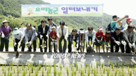 삼성전기, 토고미ㆍ볏가리 마을과 3자결연