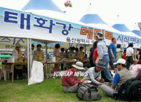 태화강변서 키운 메밀 맛 보세요