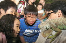 희귀 양서,파충류 생태 체험전