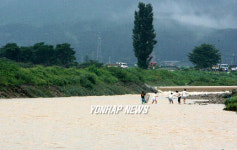 수해지역 철없는 물고기잡기