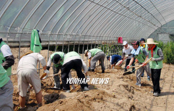 강원체신청 직원 인제 수해복구