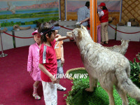 몽골자연문화를 체험하세요