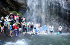 말복 피서도 역시 폭포