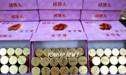 가짜 `김정일 정력제 보양환