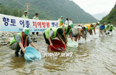 정선 토종 물고기 방류