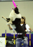 2006 FCI인터내셔널 도그쇼
