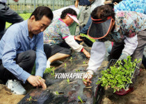 새싹 심는  고건 전 총리