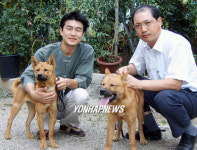 프랑스로 수출될 진돗개