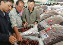 마이산 고추 사세요
