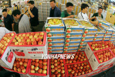 한가위 준비에 분주한 청과시장