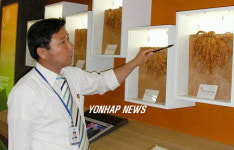 장생도라지 설명하는 이영춘 대표