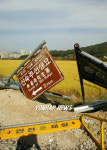 신숙주선생묘 지하 2km?