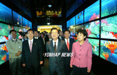 진짜 수족관 같네