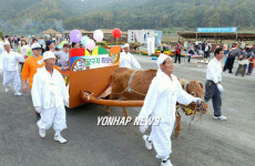 횡성한우축제 성황